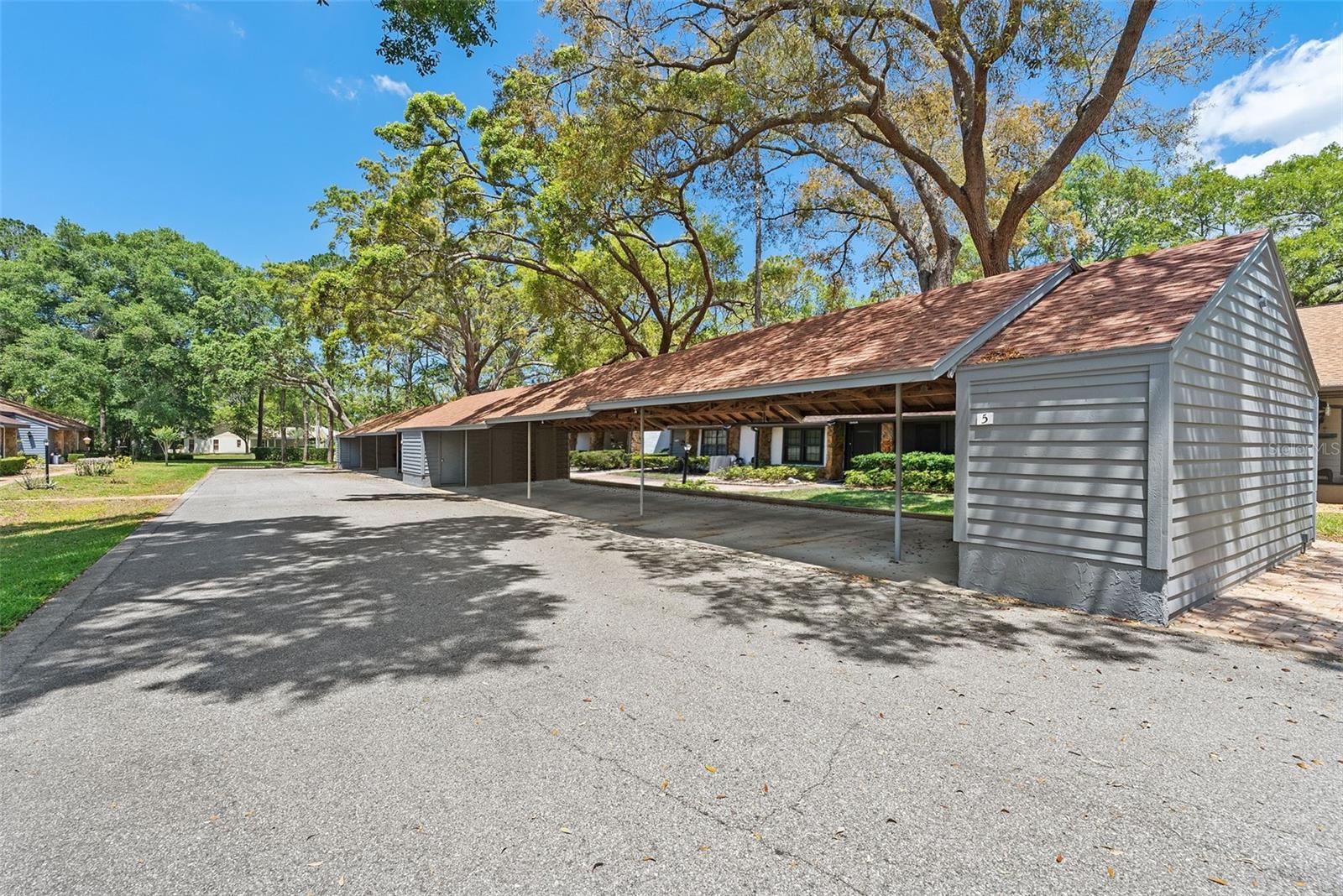 TMBR PINES PN GR VL - Residential Lease