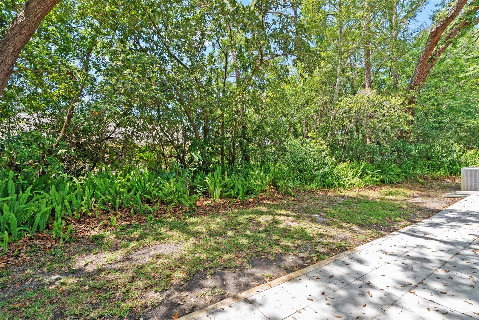 TMBR PINES PN GR VL - Residential Lease