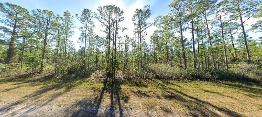 Photo of 711 Japonica Avenue, Indian Lake Estates, FL 33855 (MLS # O6272545)