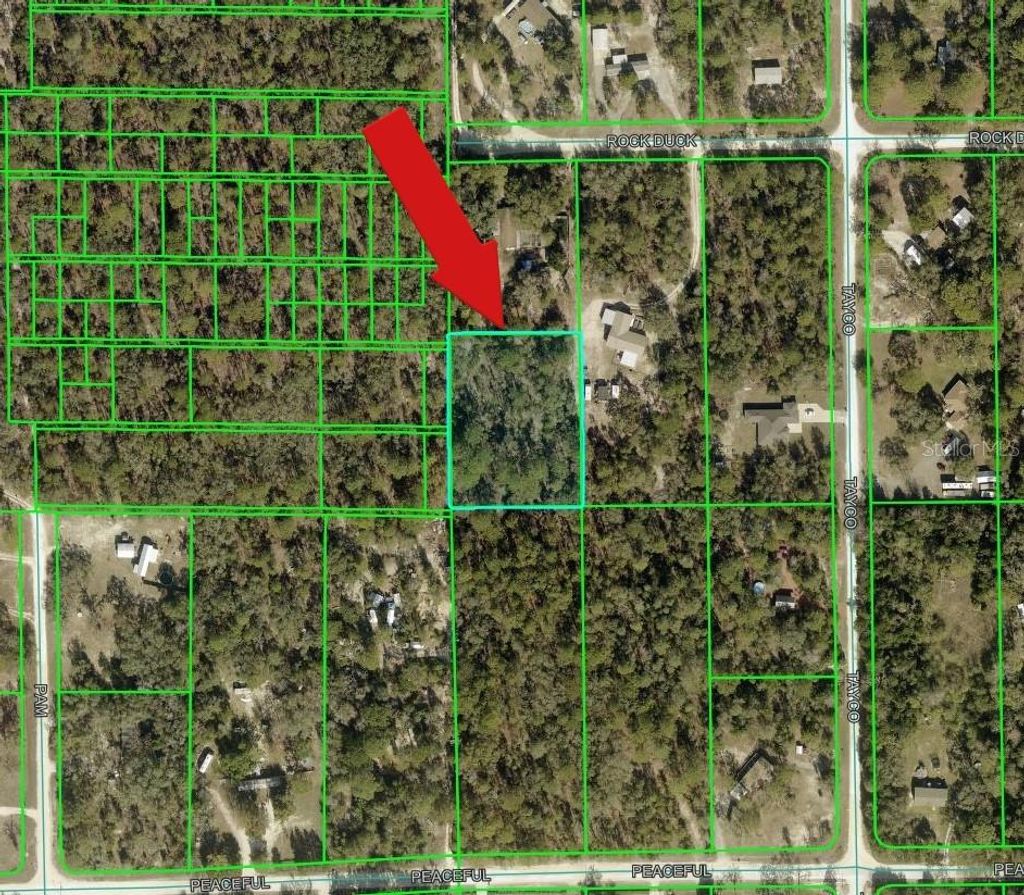 Photo of Peaceful Avenue, Weeki Wachee, FL 34614 (MLS # A4698265)