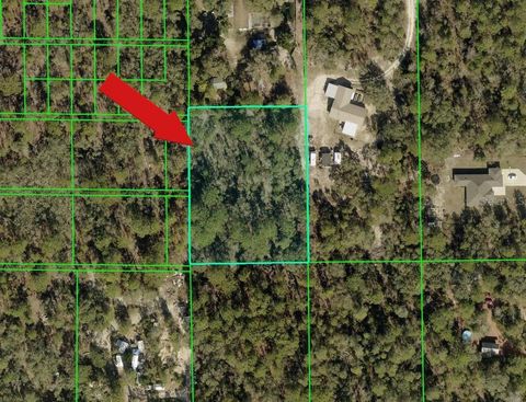Photo of Peaceful Avenue, Weeki Wachee, FL 34614 (MLS # A4698265)