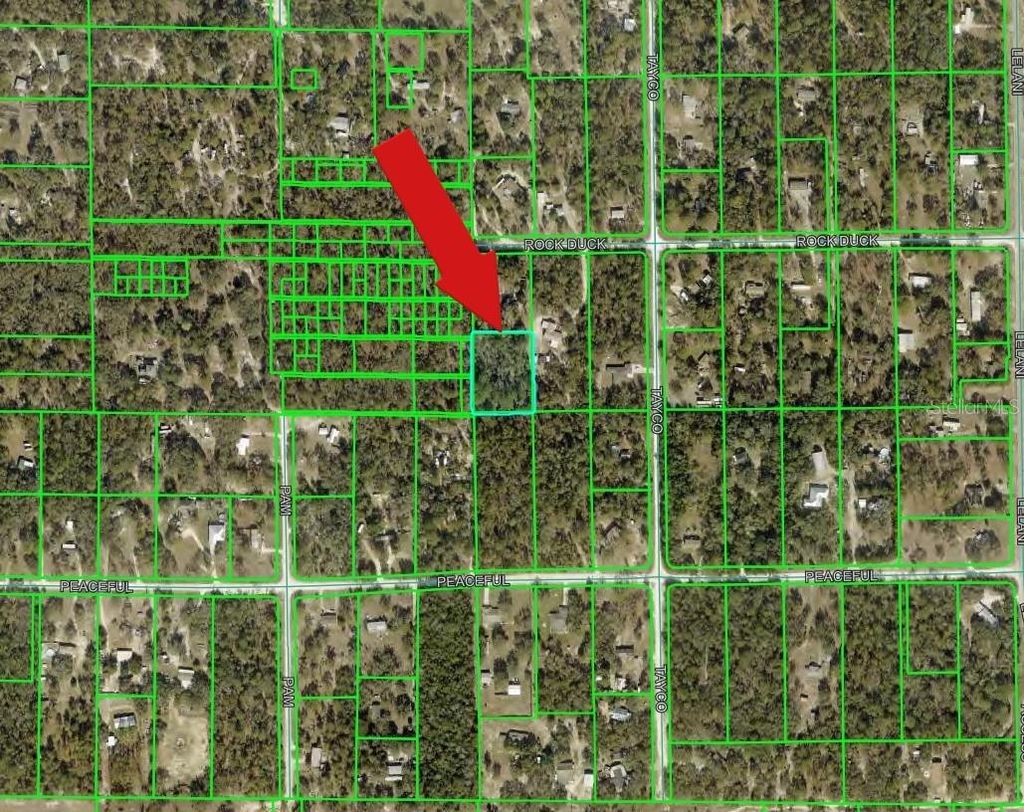 Photo of Peaceful Avenue, Weeki Wachee, FL 34614 (MLS # A4698265)