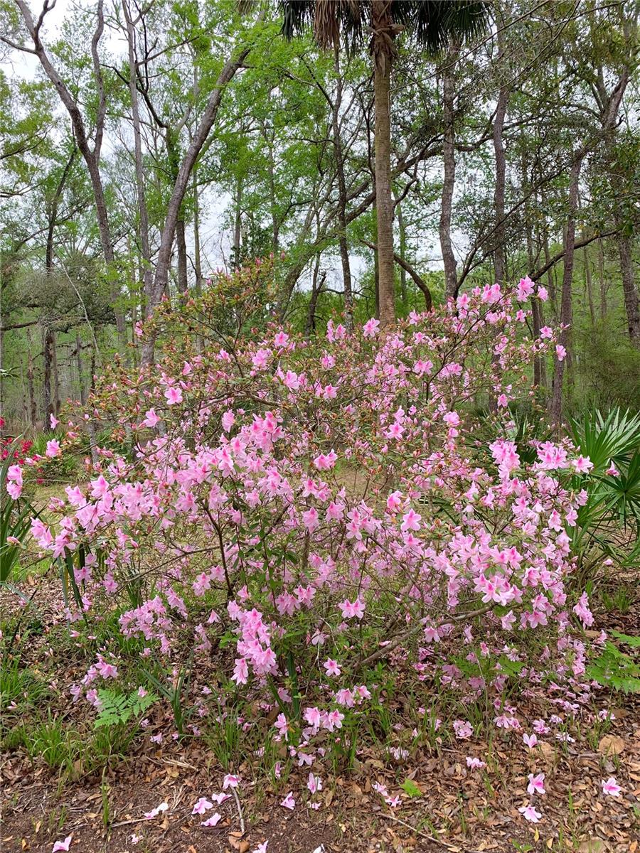 DEERE RIVER ESTATE - Residential