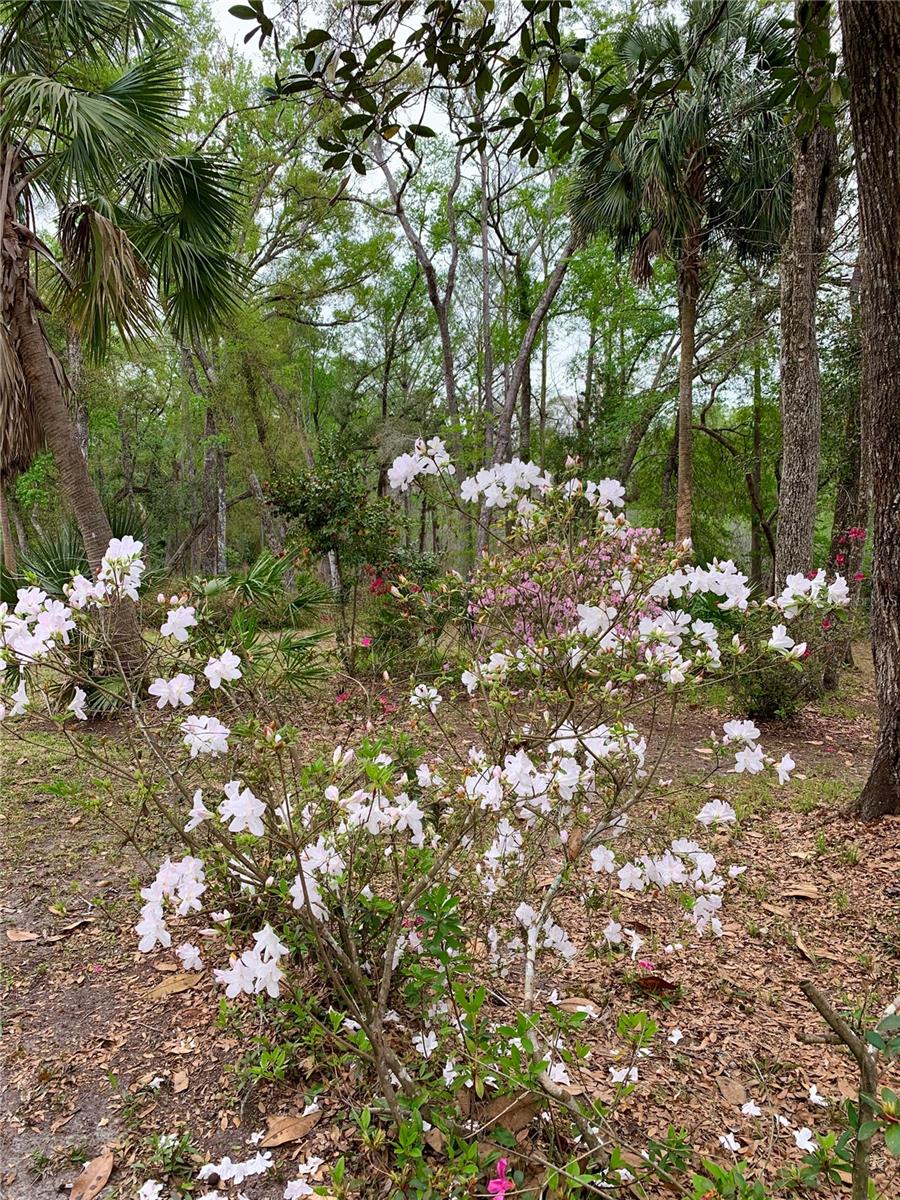 DEERE RIVER ESTATE - Residential