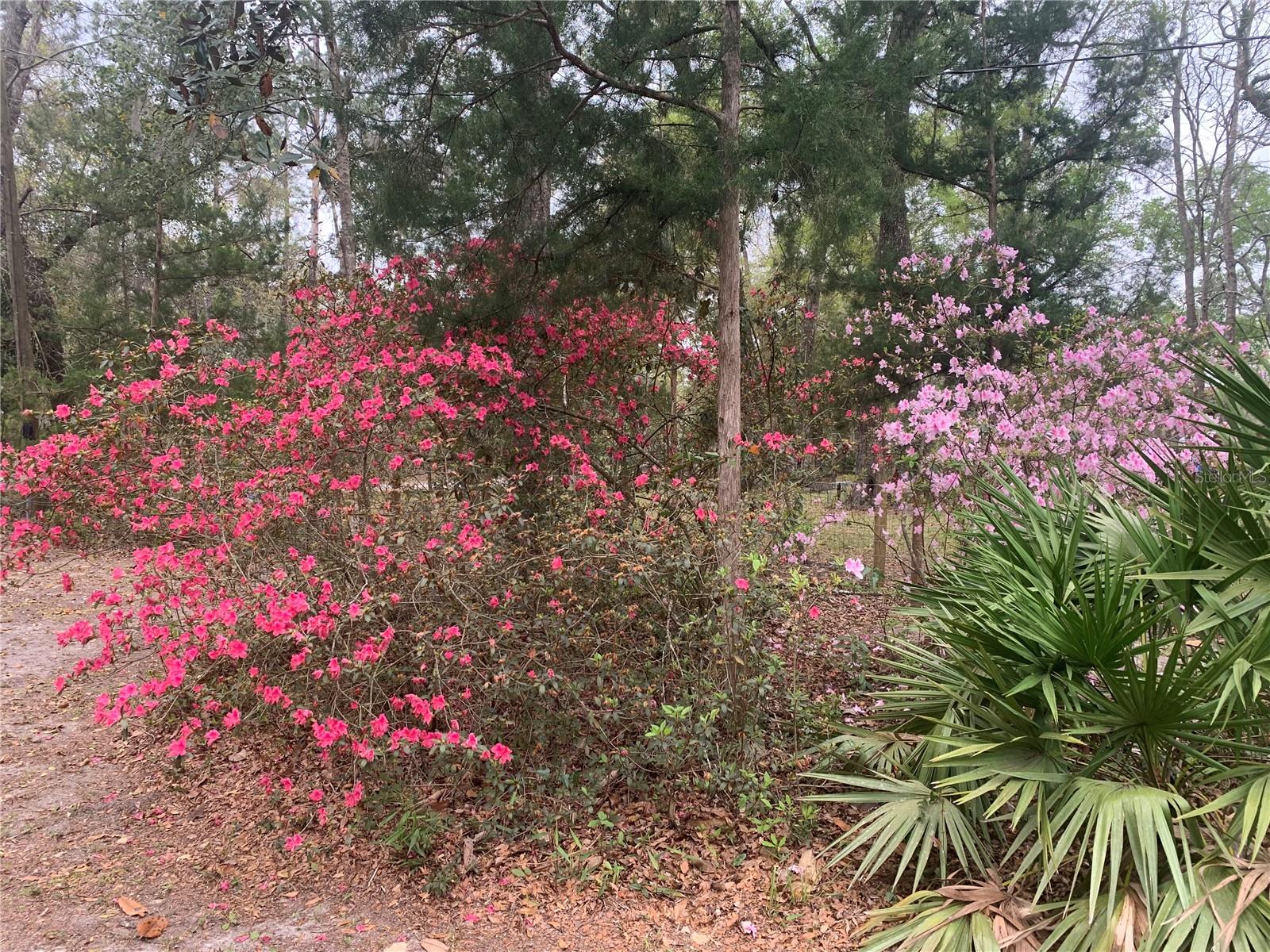 DEERE RIVER ESTATE - Residential