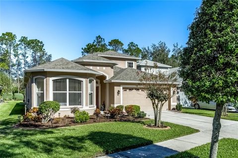 A home in LAND O LAKES