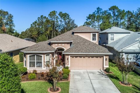 A home in LAND O LAKES