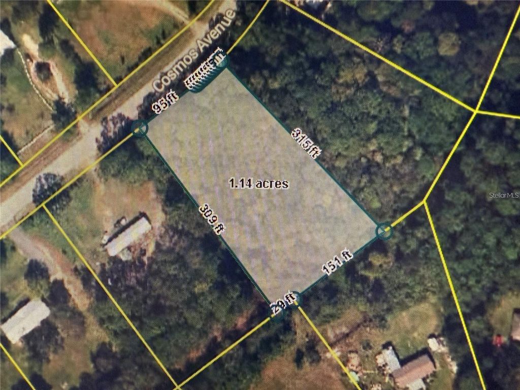 Photo of 2223 Cosmos Avenue, Middleburg, FL 32068 (MLS # O6377177)