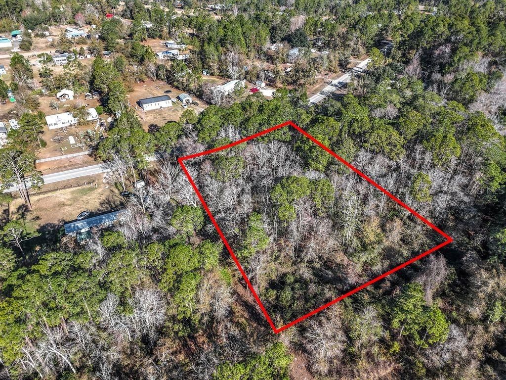 Photo of 2223 Cosmos Avenue, Middleburg, FL 32068 (MLS # O6377177)