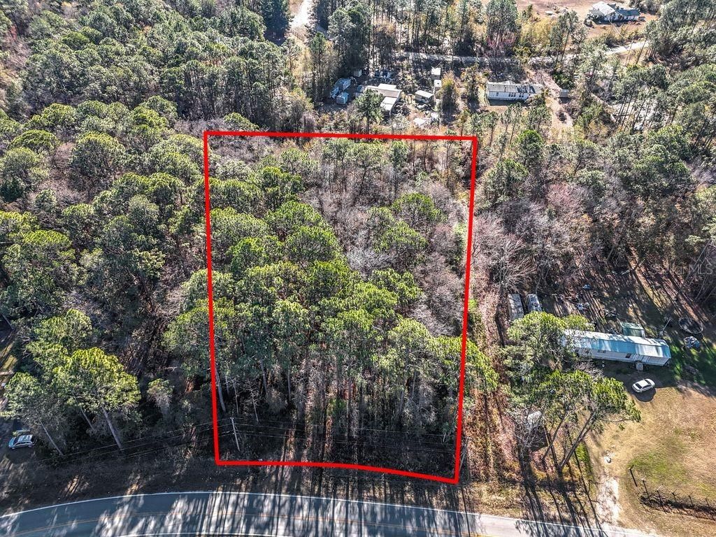 Photo of 2223 Cosmos Avenue, Middleburg, FL 32068 (MLS # O6377177)