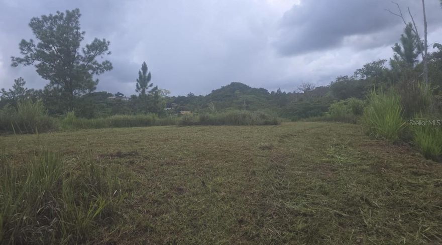 Build your florida dream home in the lake and golf community of Indian Lake Estates! This spacious lot offers flexibility, access to incredible amenities, including 7500+acre lake walk-in-water, known for outstanding bass fishing and boating, plus marina, golf course, clubhouse, fitness center, and more! Low HOA fees . Enjoy peaceful surroundings while still being conveniently located near shopping, dining, and everyday essentials. A great opportunity to investor build in an expanding area of lake Wales.