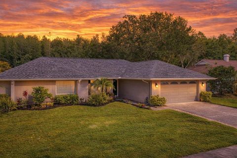 Photo of 15110 Naturewalk Drive, Tampa, FL 33624 (MLS # TB8498995)