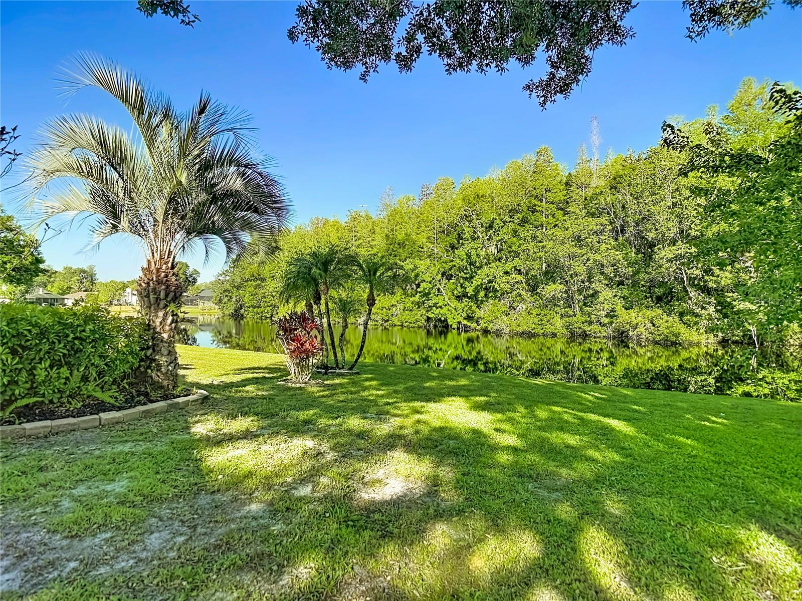 CARROLLWOOD SPGS UNIT 2 - Residential