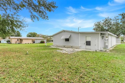 A home in MOUNT DORA