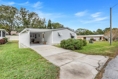 A home in MOUNT DORA