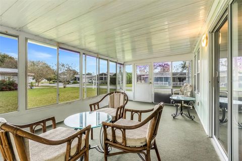 A home in MOUNT DORA