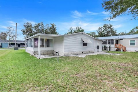 A home in MOUNT DORA