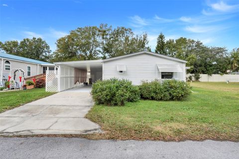 A home in MOUNT DORA