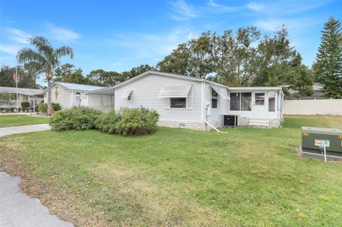 A home in MOUNT DORA