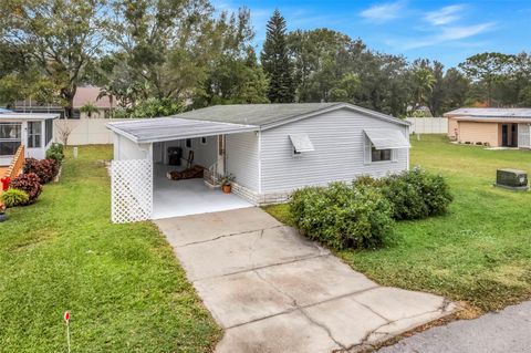 A home in MOUNT DORA