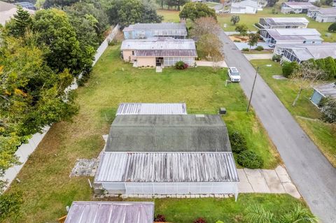 A home in MOUNT DORA