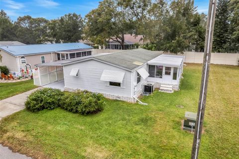 A home in MOUNT DORA