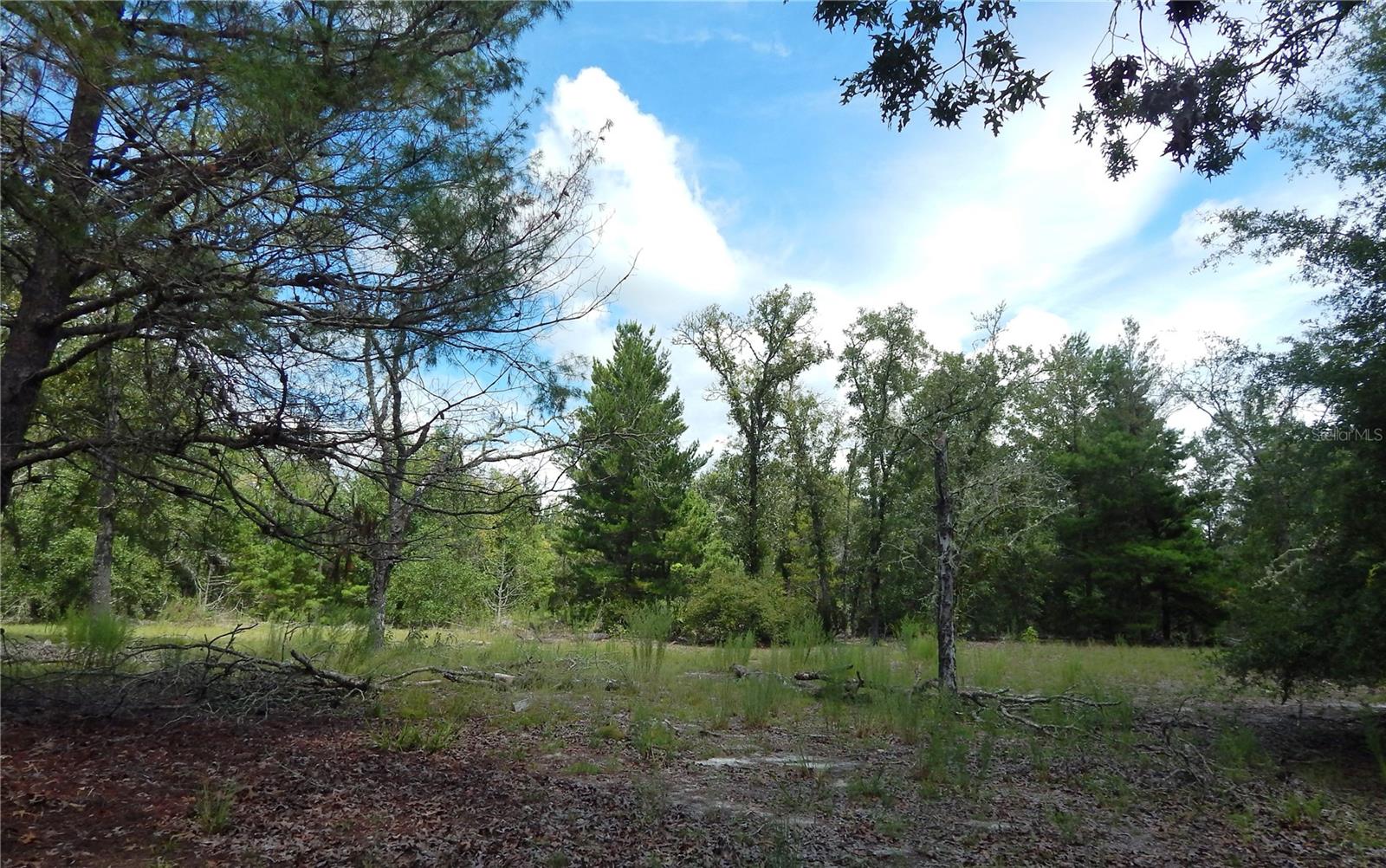 EMERALD FARMS - Residential
