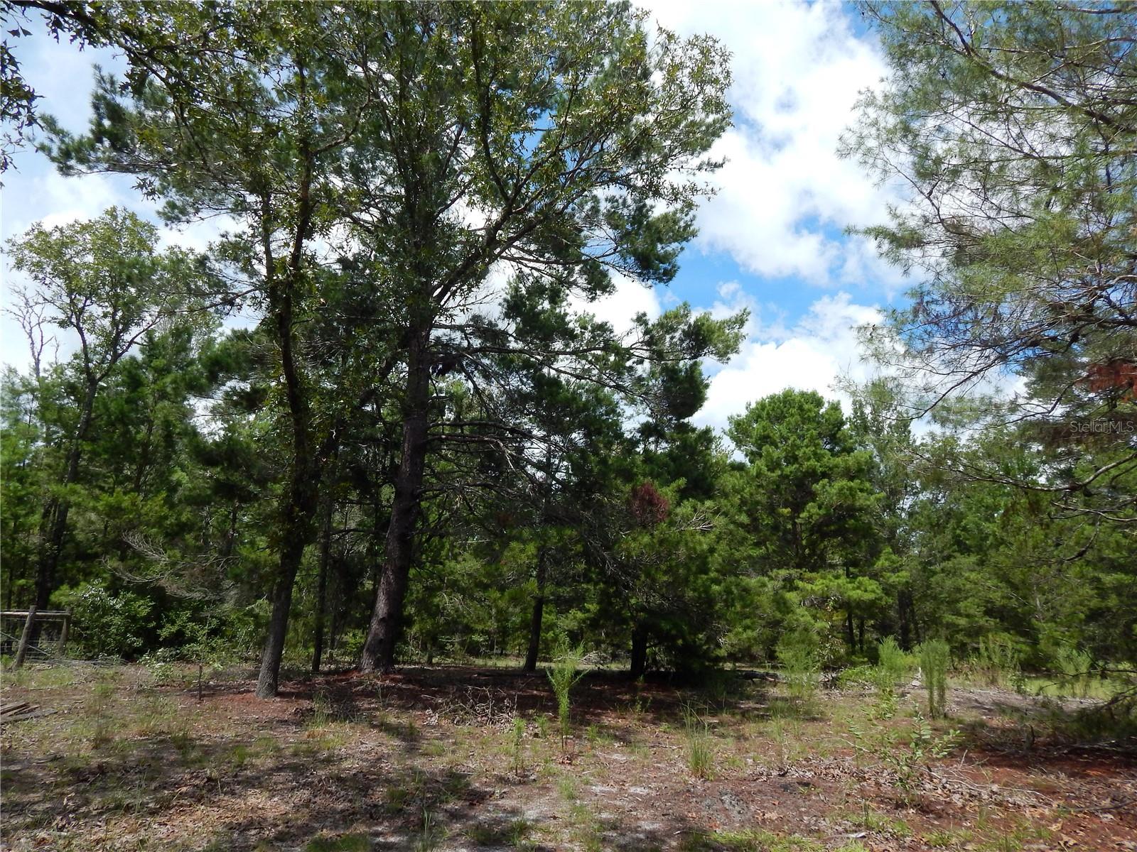 EMERALD FARMS - Residential