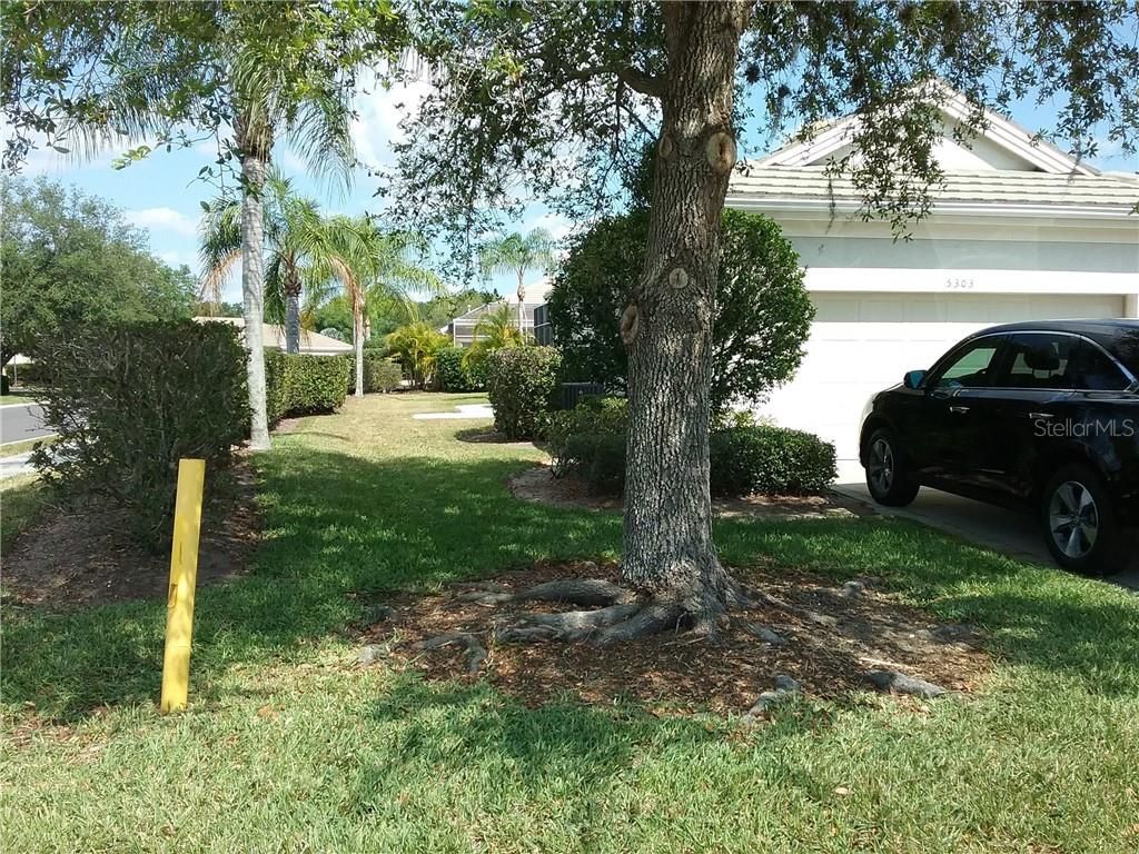 Photo of 5303 E 97th Street Circle E #0, Bradenton, FL 34211 (MLS # A4692310)