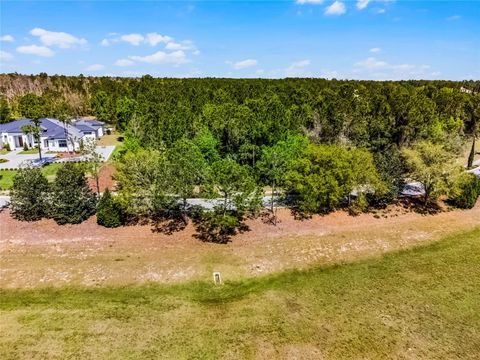 Tiny photo for 15946 Pendio Drive, Bella Collina, FL 34756 (MLS # G5111165)