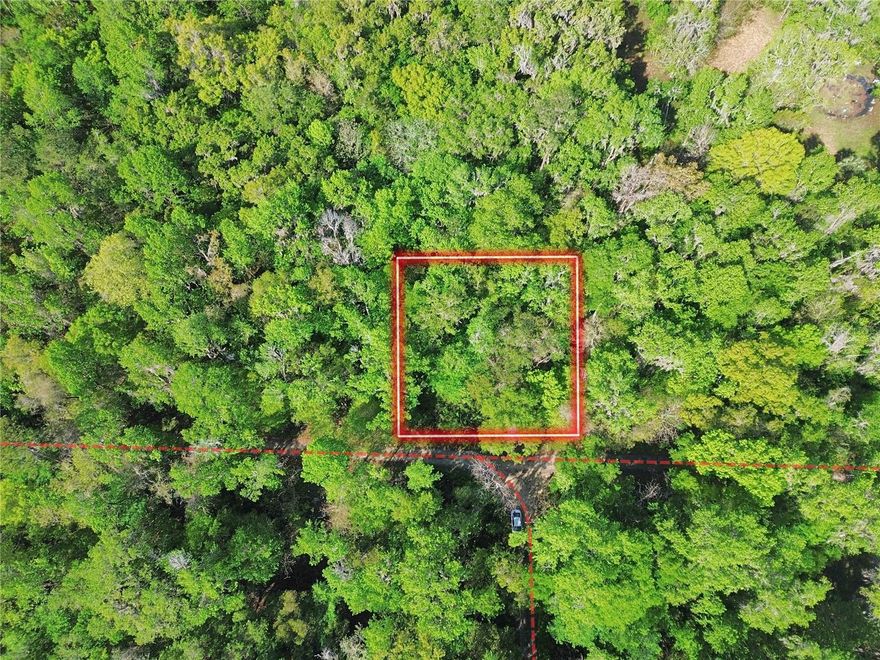 Wooded 0.29-acre lot in Belleview Heights Estates, located near Belleview and Ocala. Features 100' of frontage and 125' depth, zoned R1 for single-family residential. Flood Zone X, no flood insurance required. Access via county-maintained road. Lot is raw land; buyer to install well and septic. Electric available through SECO Energy. Parcel ID: 4214-174-053. Coordinates: 29.03674990,-82.07838064