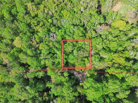 TBD SE 41ST TERRACE BELLEVIEW FL 34420