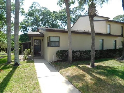 A home in PALM HARBOR