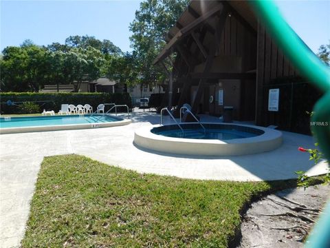 A home in PALM HARBOR