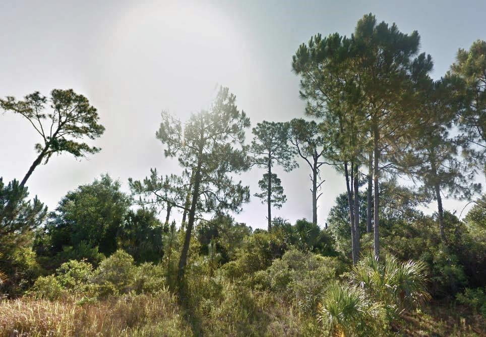 Nestled in Port Charlotte, this vacant residential lot on Dunmore Street is a perfect canvas for building a custom home or investing in a rapidly growing North Port community. With paved road frontage and utilities available nearby, the site offers privacy and natural surroundings while remaining conveniently located to I-75, shopping and dining. All information is deemed reliable but should be independently verified.