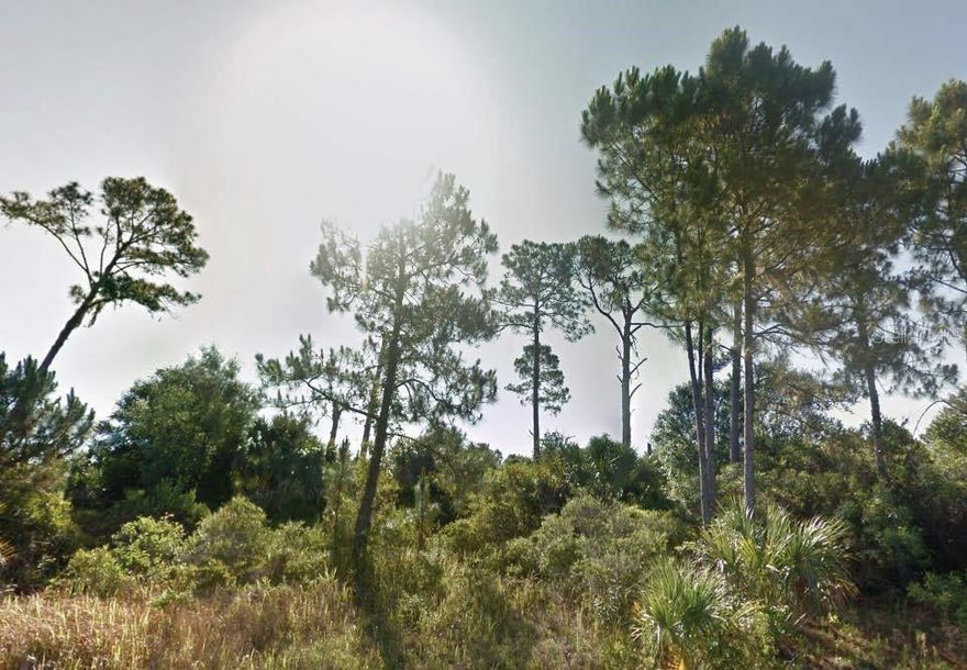 Nestled in Port Charlotte, this vacant residential lot on Dunmore Street is a perfect canvas for building a custom home or investing in a rapidly growing North Port community. With paved road frontage and utilities available nearby, the site offers privacy and natural surroundings while remaining conveniently located to I-75, shopping and dining. All information is deemed reliable but should be independently verified.