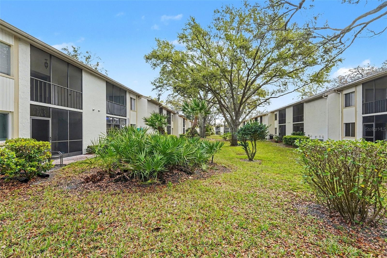 EAST LAKE WOODLANDS CYPRESS ESTATES - Residential