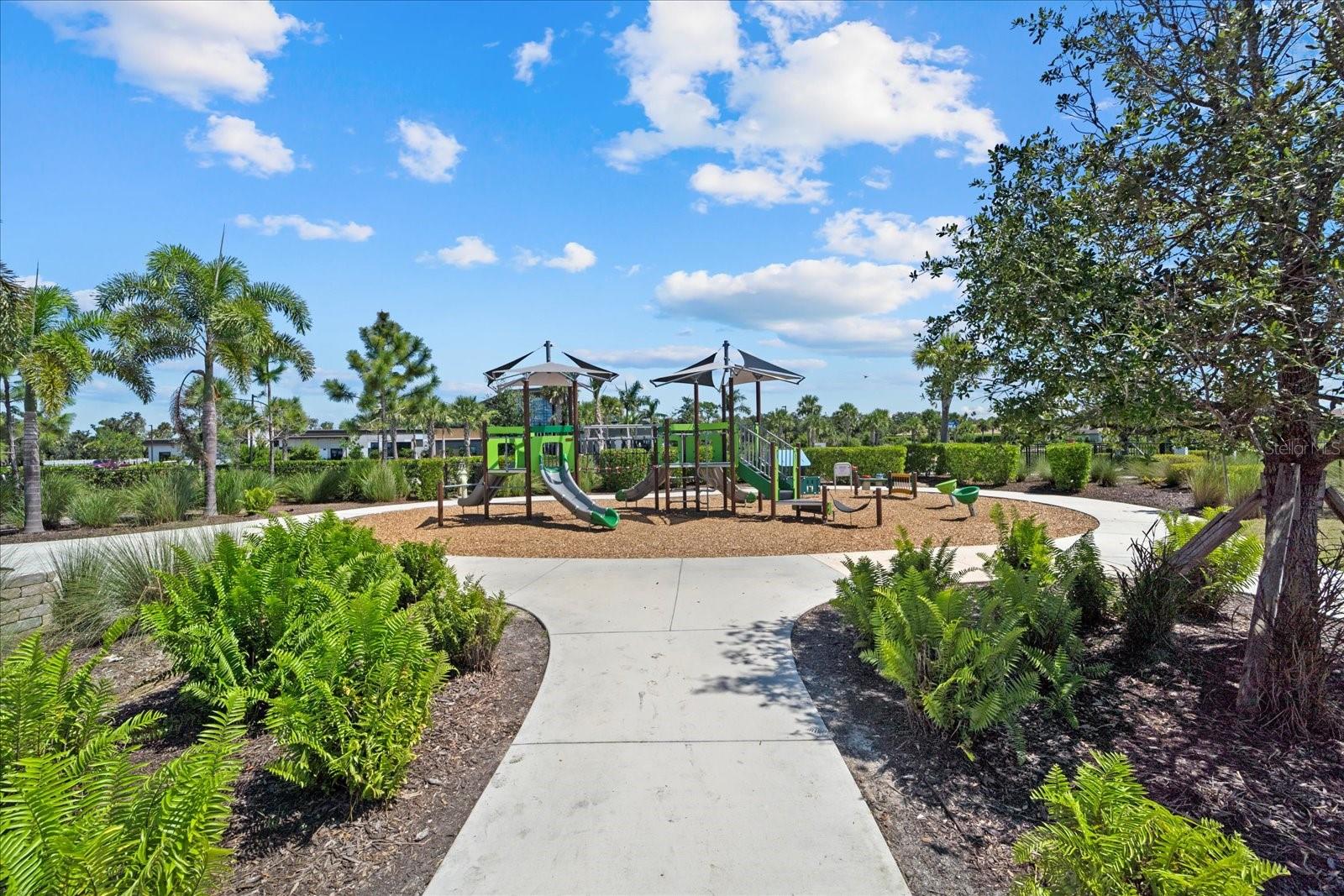CASSIA AT SKYE RANCH - Residential