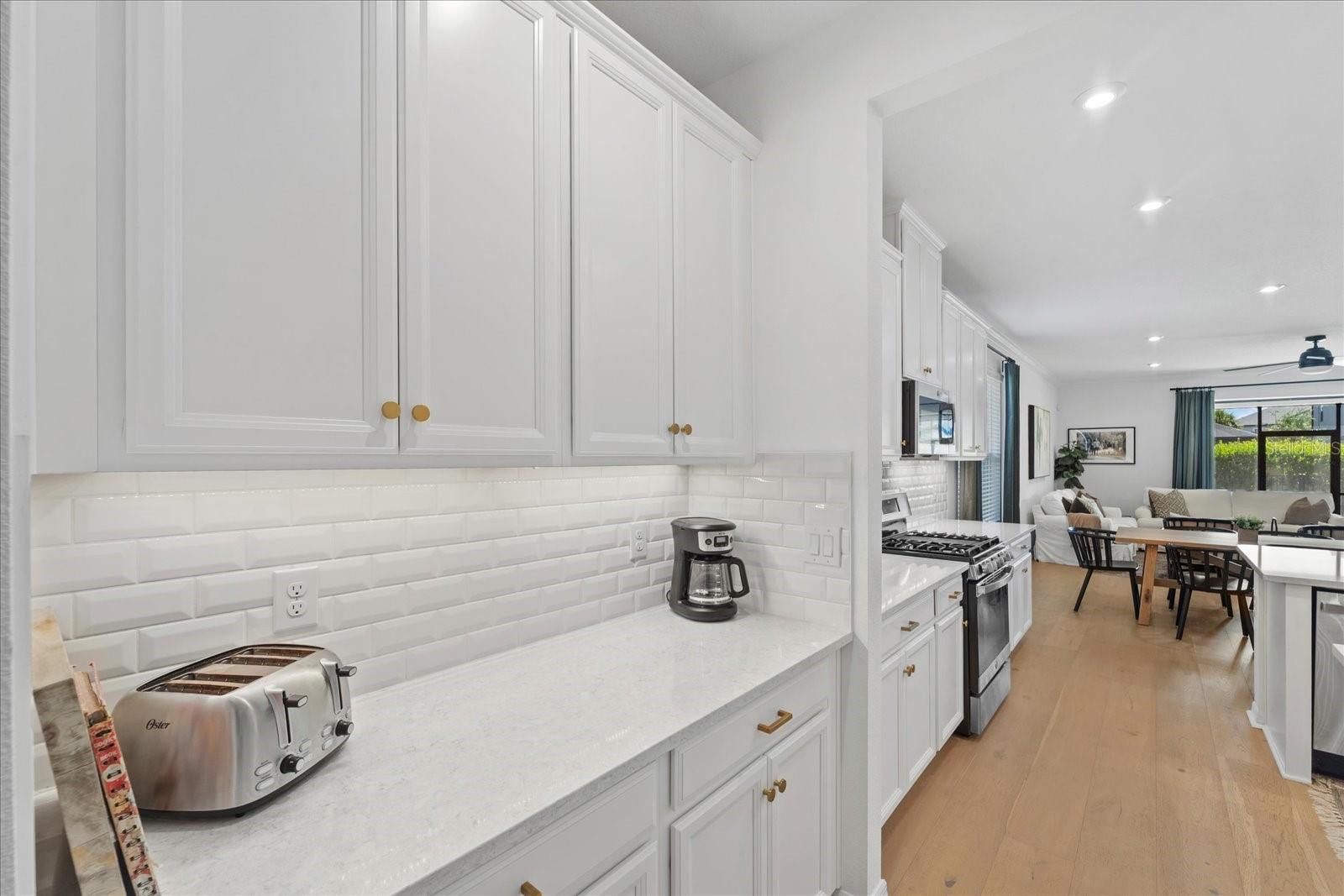 CASSIA AT SKYE RANCH - Residential