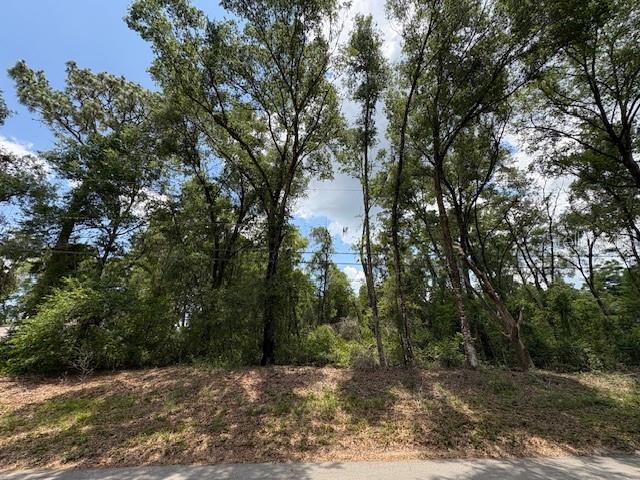 Peaceful piece of paradise in Inverness, FL. This spacious vacant lot offers the perfect setting to build your dream home or hold as a smart investment. Located in a quiet, friendly neighborhood with paved roads and electrical connections nearby. No HOA fees or CDD fees. Inverness is a charming city nestled along the Tsala Apopka Chain of lakes, offering residents beautiful water views, boating, fishing, and outdoor recreation opportunities. The area boasts a welcoming community, local parks, golf courses, and easy access to major highways for convenient travel. Whether you're seeking a peaceful retreat or an investment opportunity in a growing community, this lot is a fantastic choice.