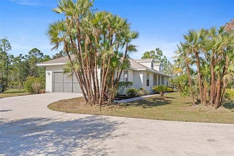 A home in PUNTA GORDA