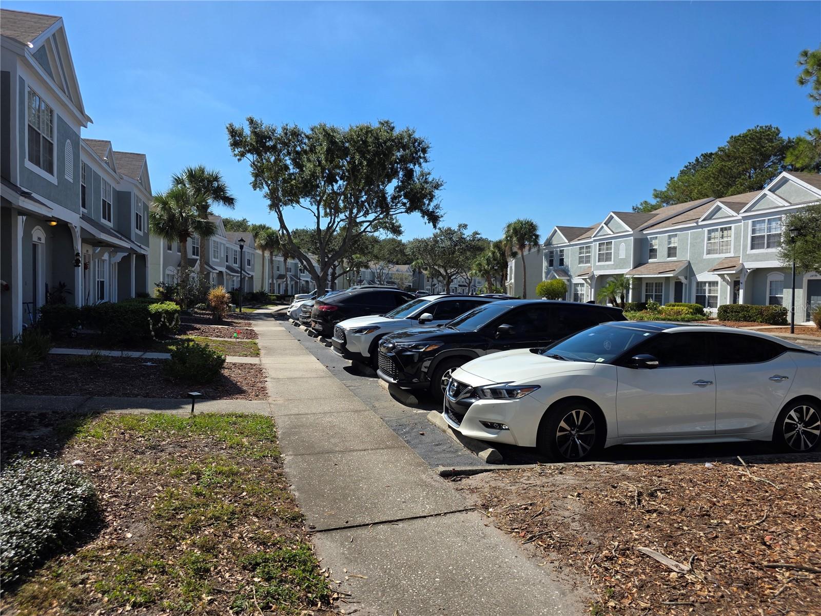 REGENCY KEY TWNHMS - Residential