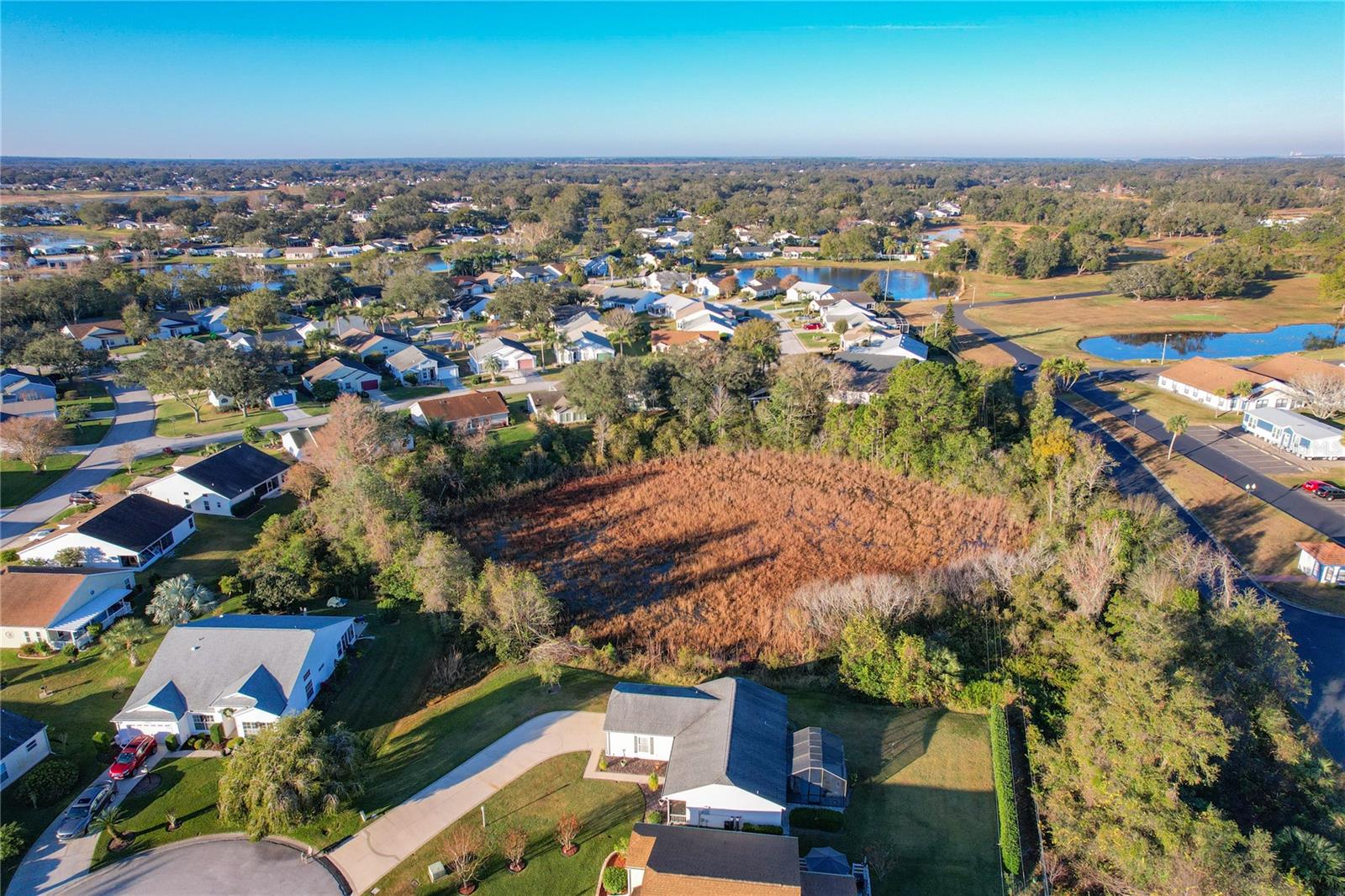 PLANTATION AT LEESBURG GREENTREE - Residential