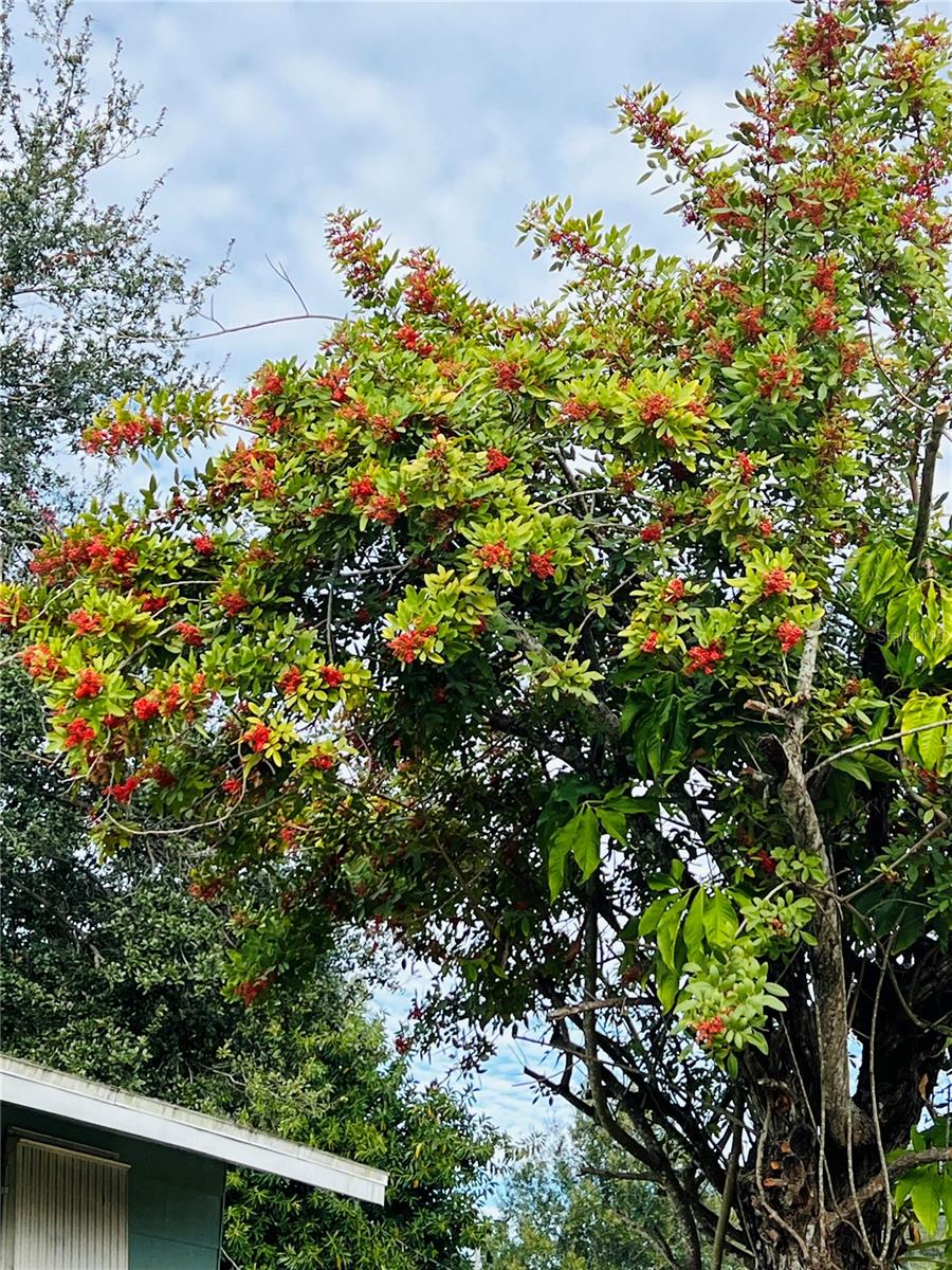 WELLESLEY ACRES - Residential Lease