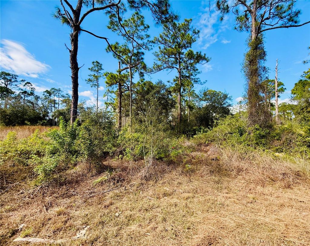 Photo of 2007 Truman Avenue, Alva, FL 33920 (MLS # C7521391)