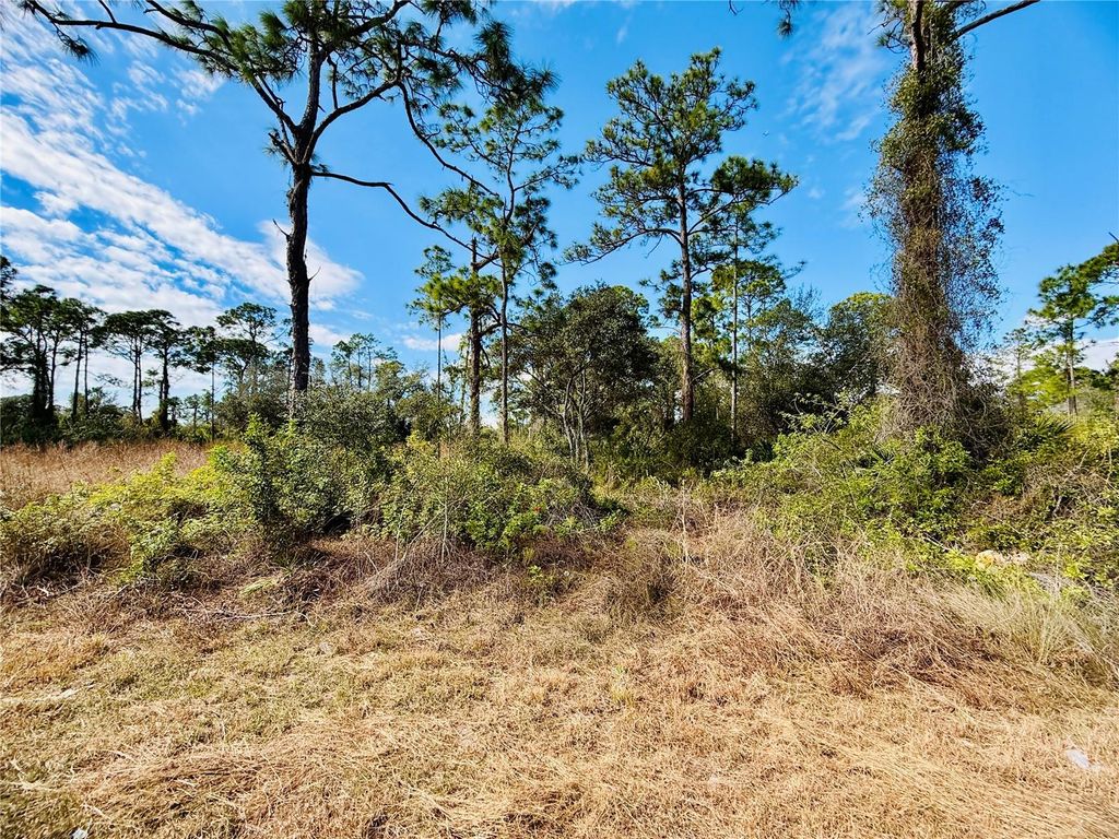 Photo of 2007 Truman Avenue, Alva, FL 33920 (MLS # C7521391)