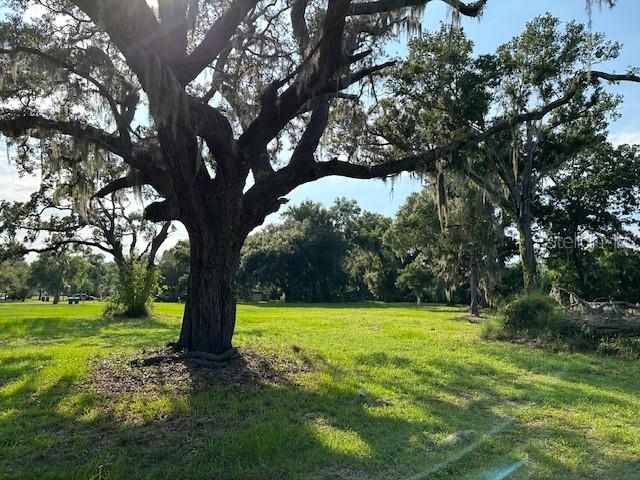 ALOMA AVENUE