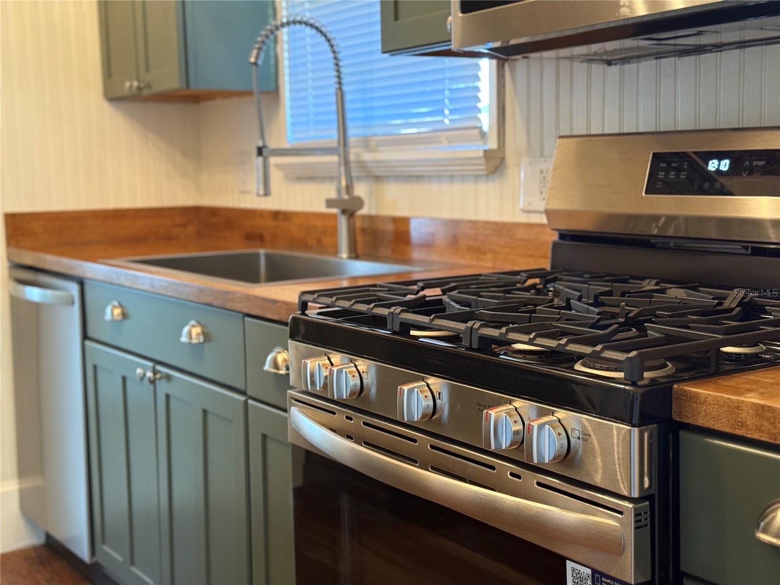 MOUNT DORA WILDWOOD - Residential