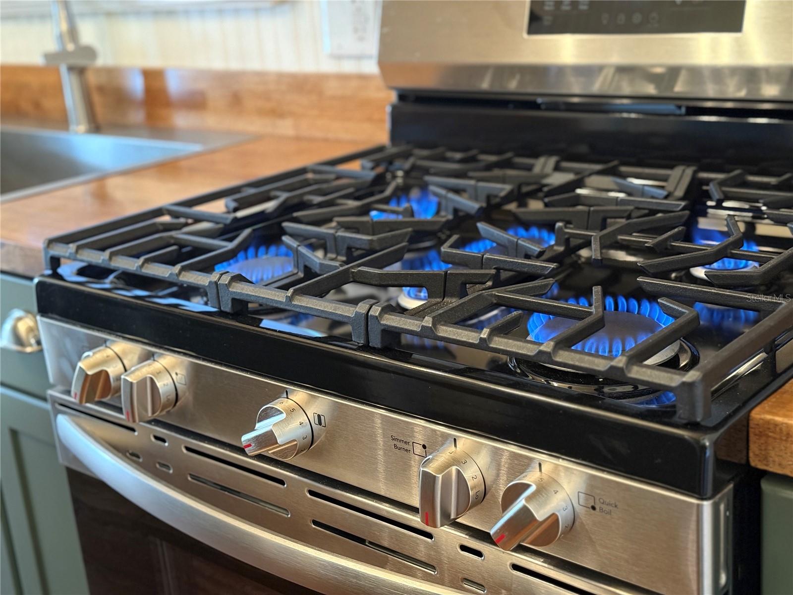 MOUNT DORA WILDWOOD - Residential