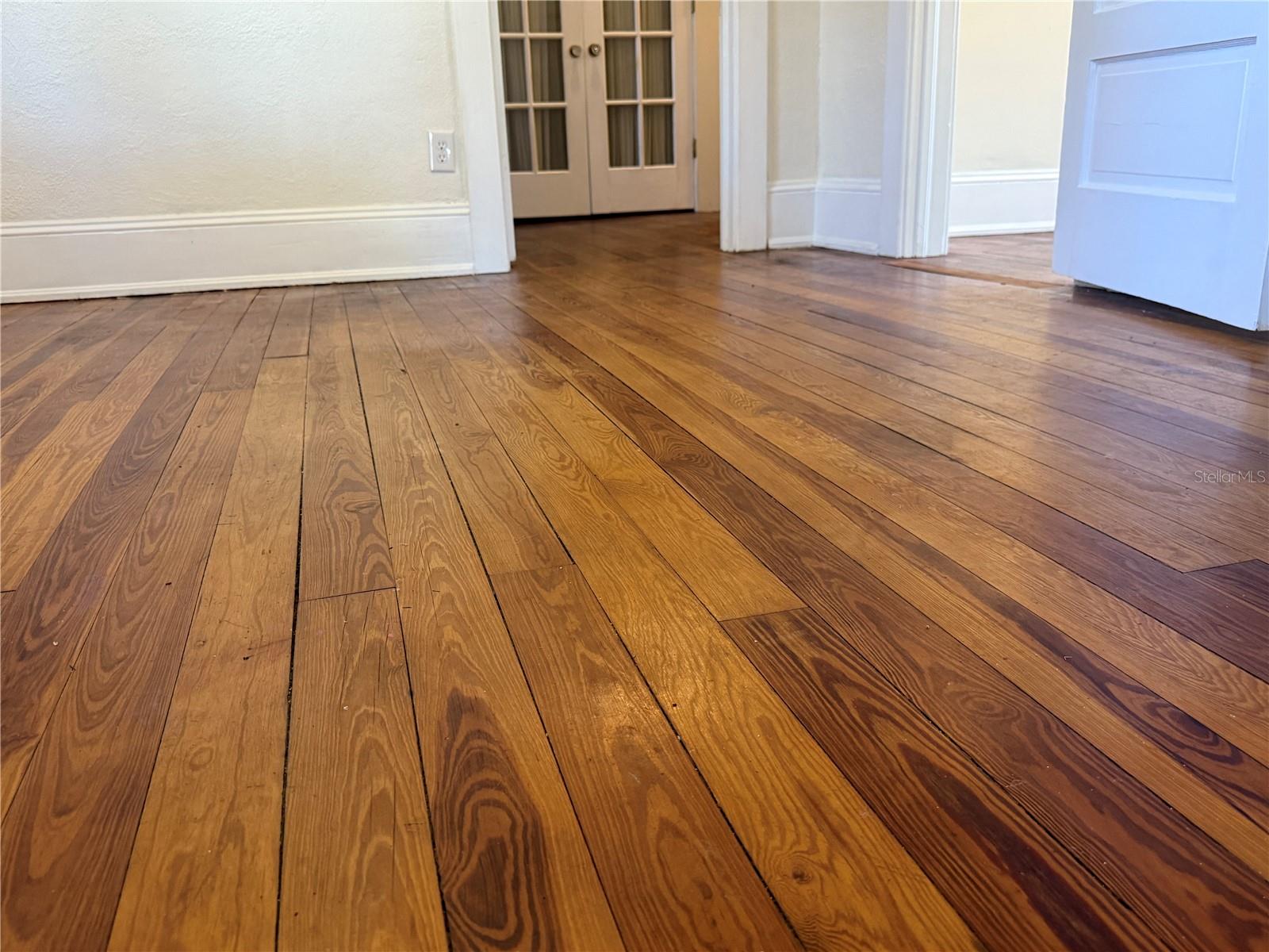 MOUNT DORA WILDWOOD - Residential